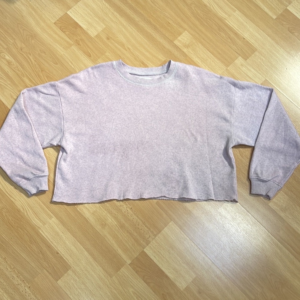American Eagle Crop Top Sweatshirt